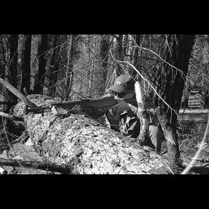 Meet your Posher, Cole